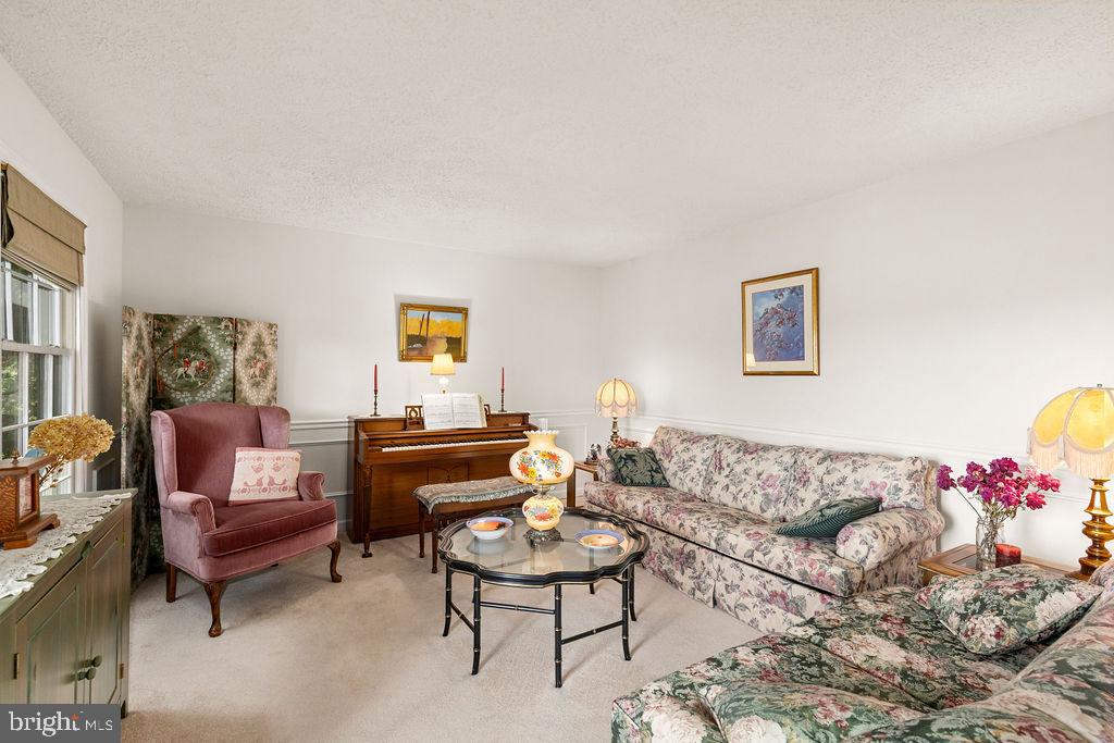 1115 Chapel Road Middletown, VA 22645 - Photo 15 of 54 a living room with furniture and a potted plant