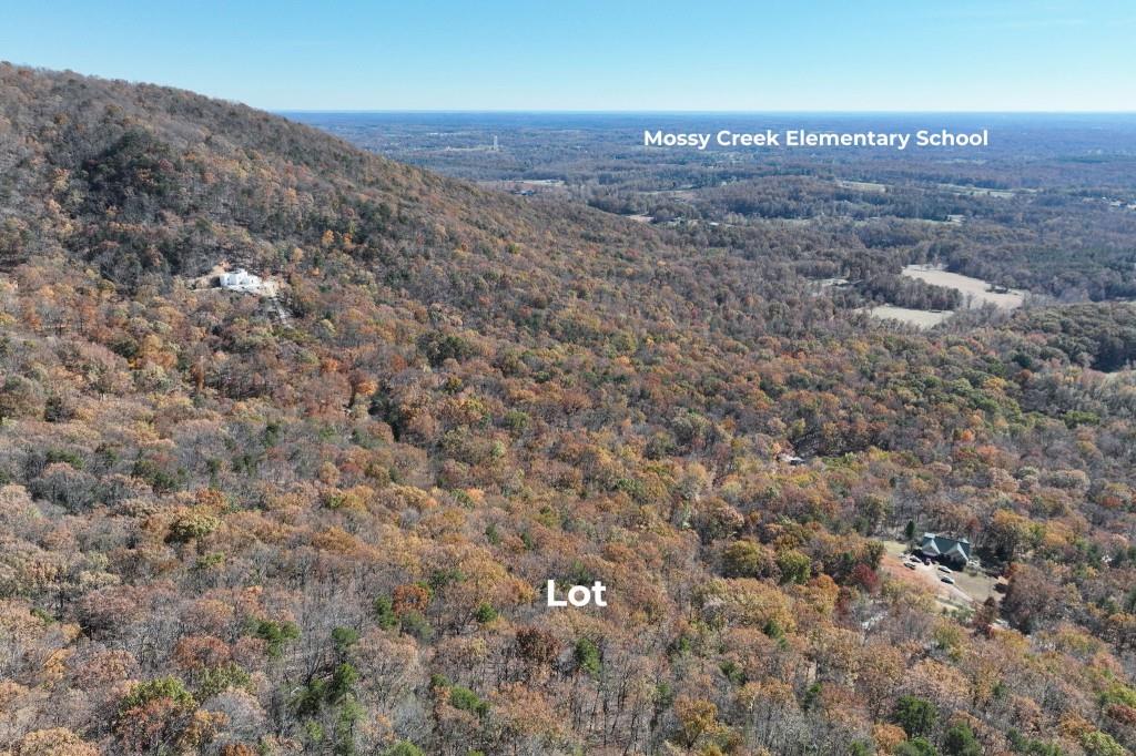 Lot 34 Wauka Ridge Road Cleveland, GA 30528 - Photo 9 of 14