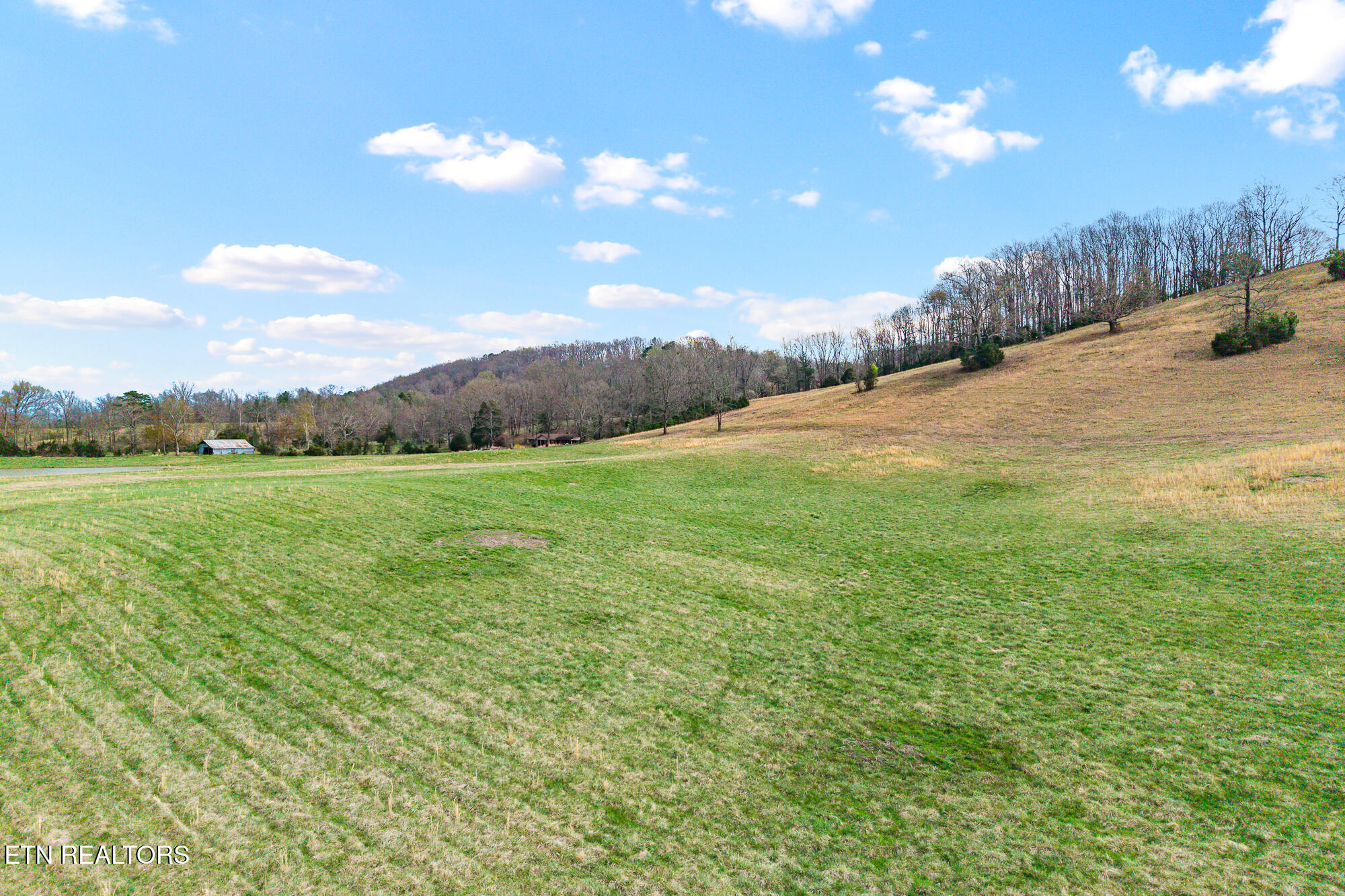 Lot 5 North Nopone Valley Road Decatur, TN 37322 - Photo 11 of 16 Land on Nopone-15