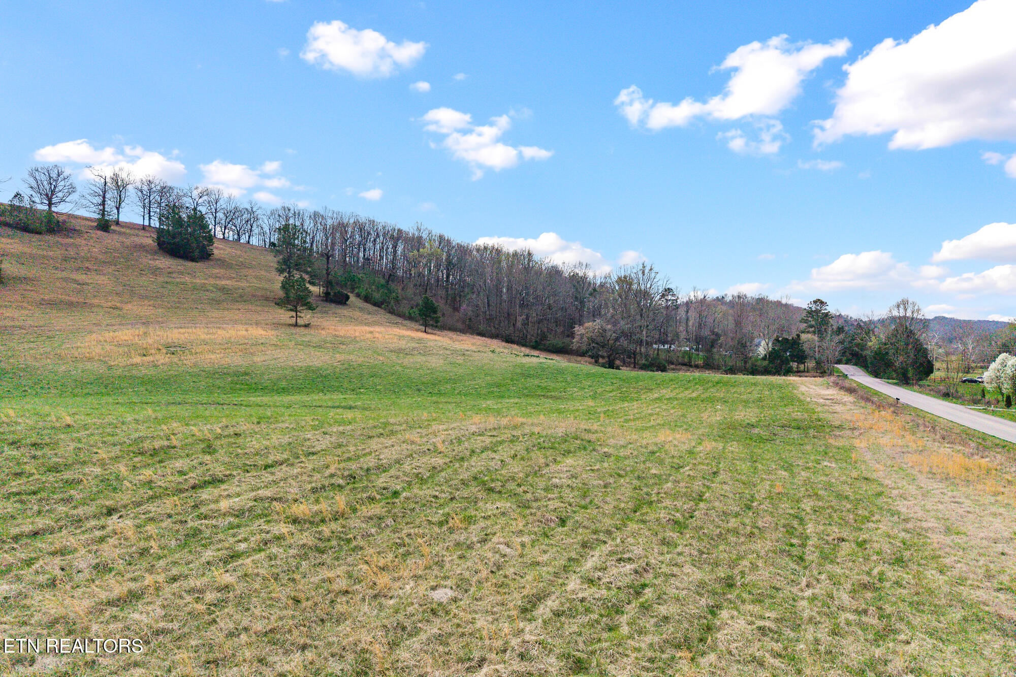 Lot 5 North Nopone Valley Road Decatur, TN 37322 - Photo 13 of 16 Land on Nopone-10