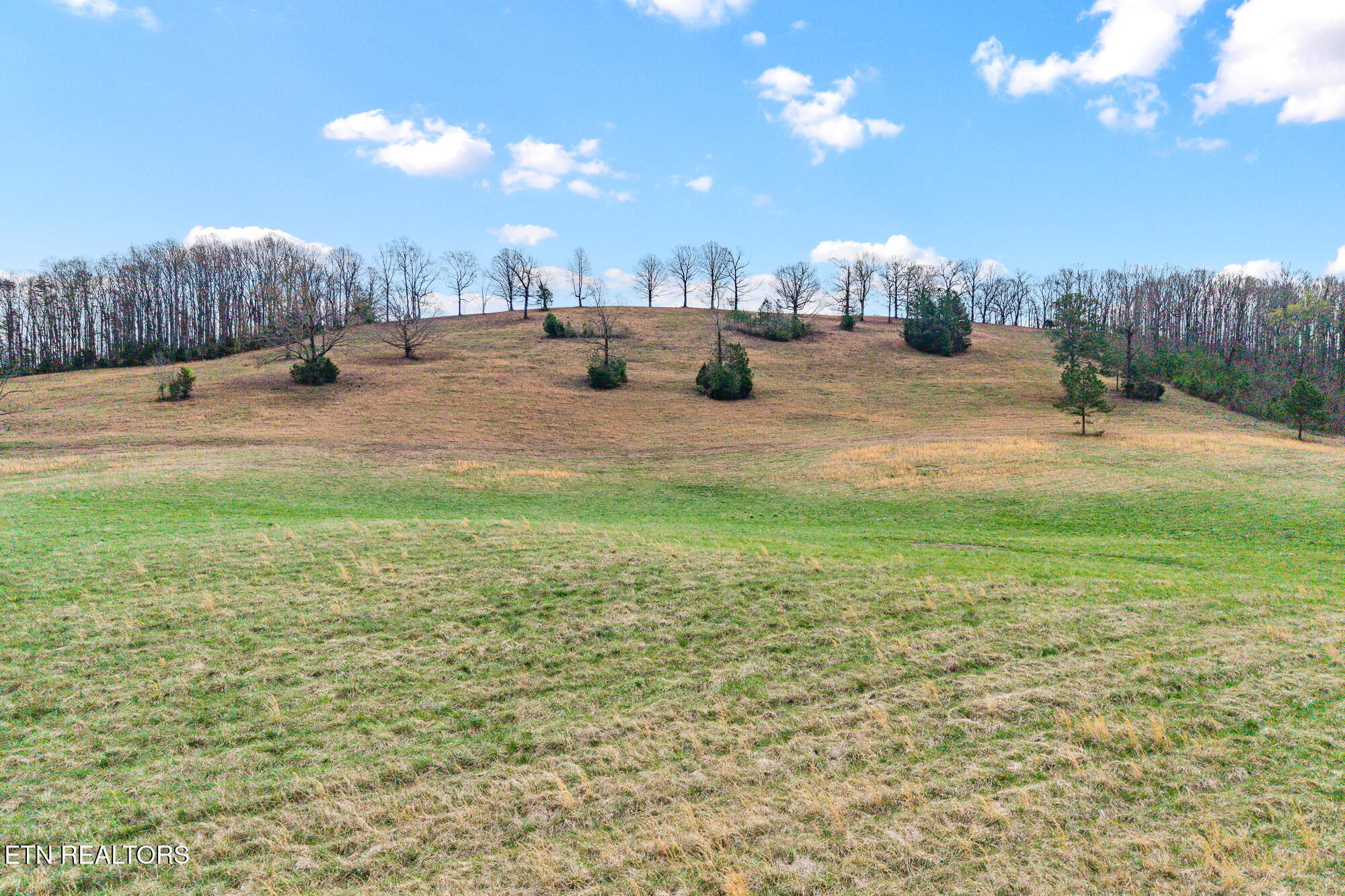 Lot 5 North Nopone Valley Road Decatur, TN 37322 - Photo 14 of 16 Land on Nopone-11