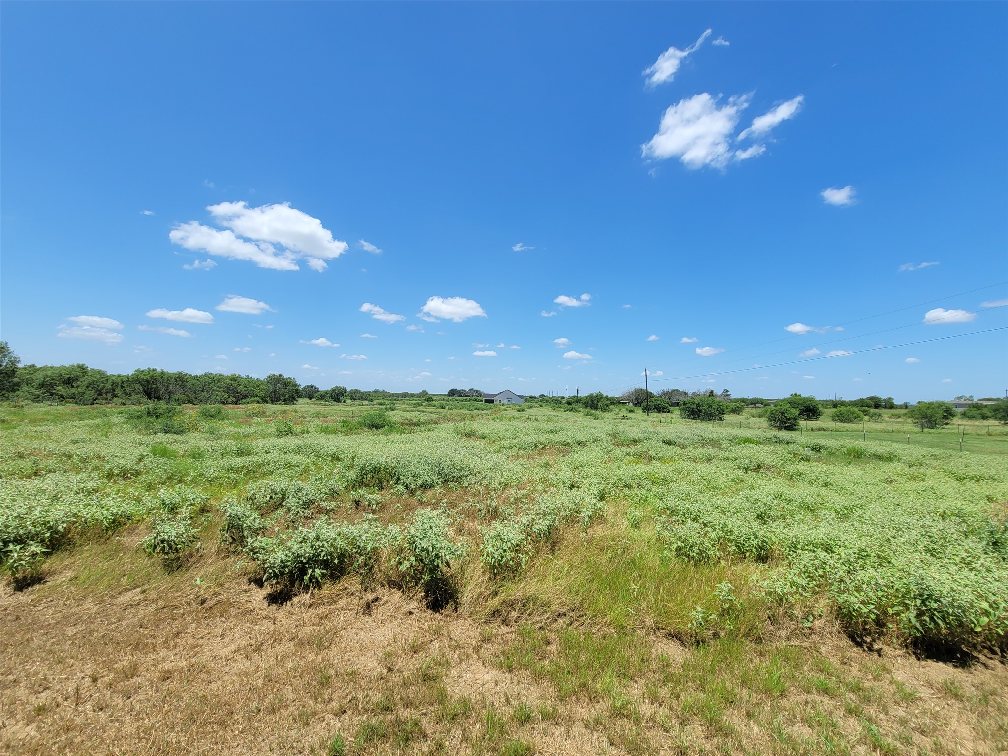 422 A Road Stockdale, TX 78160 - Photo 38 of 40 A sprawling green expanse awaits, offering boundless possibilities under an open sky.