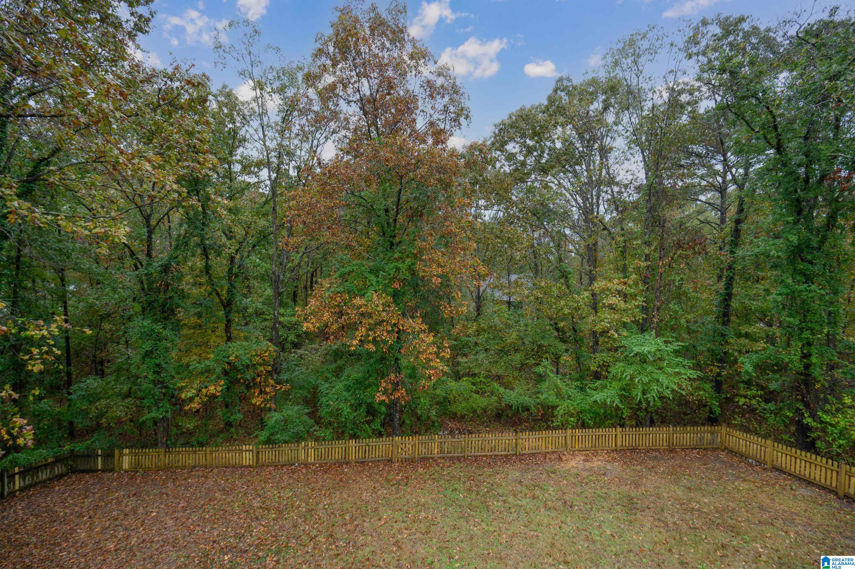 382 Liberty Ridge Road Chelsea, AL 35043 - Photo 60 of 62 Gallery Image 60