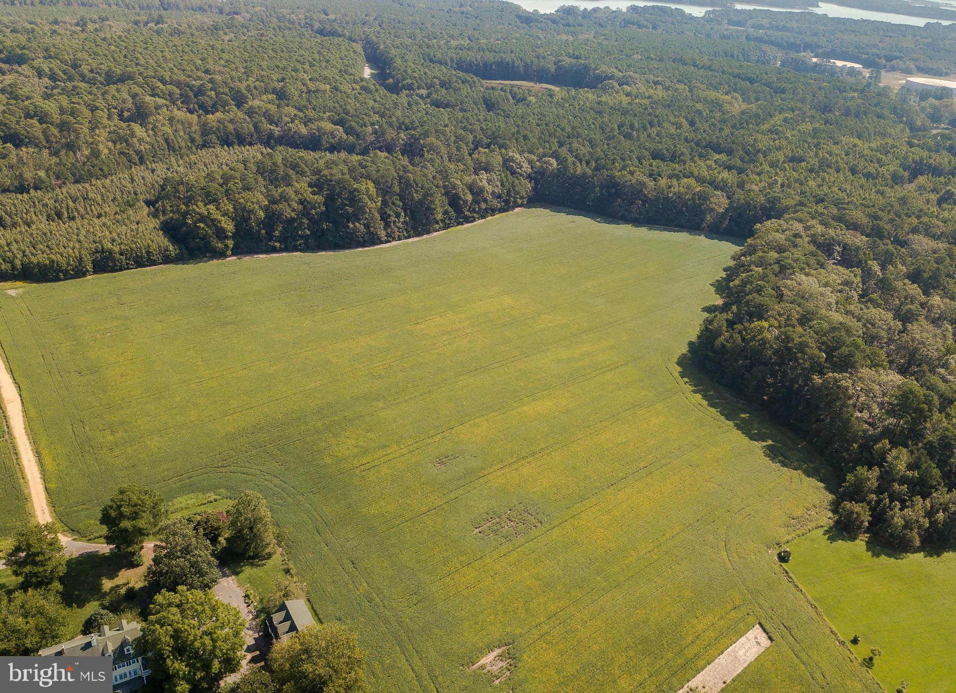 Tall Timbers Road Tall Timbers, MD 20690 - Photo 13 of 19