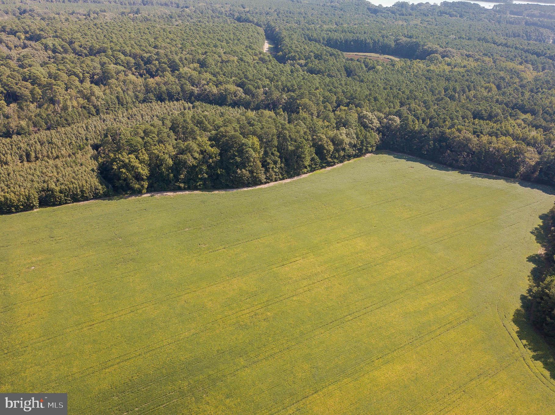 Tall Timbers Road Tall Timbers, MD 20690 - Photo 14 of 19