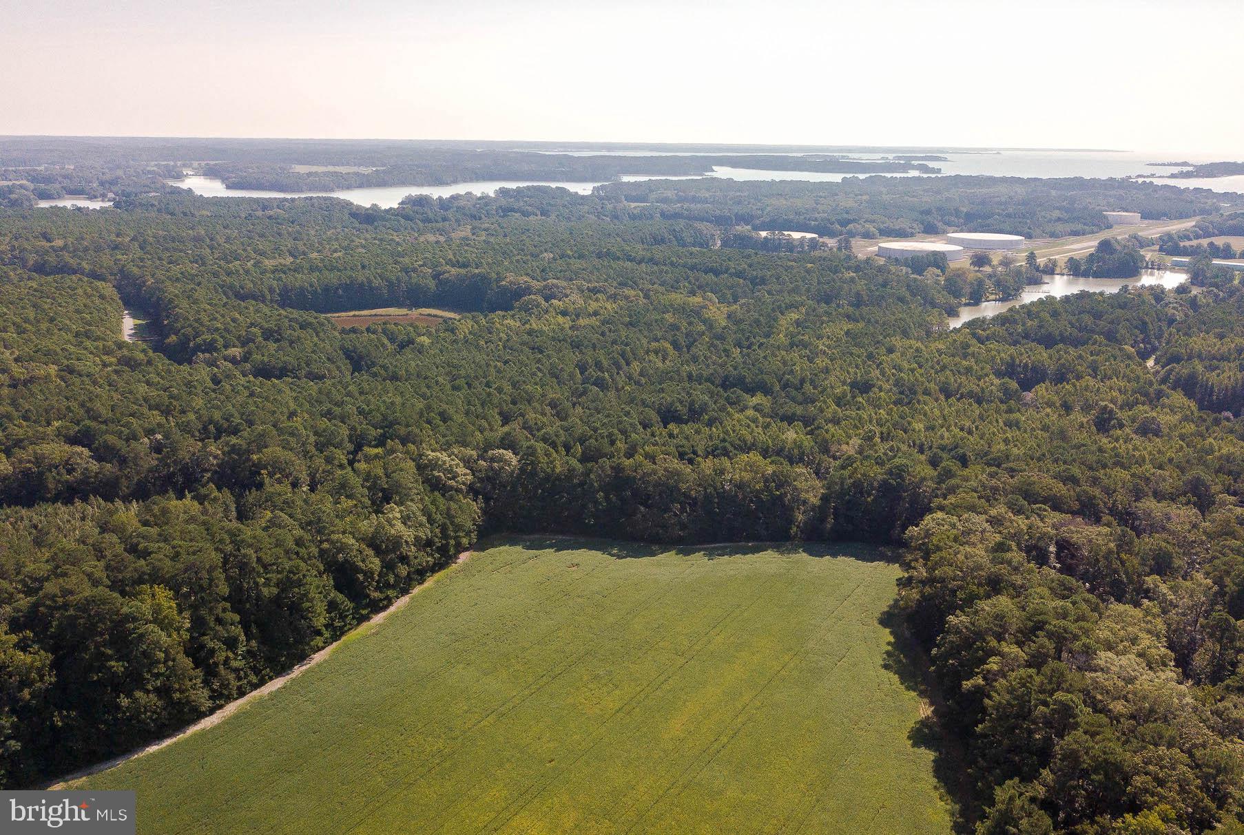Tall Timbers Road Tall Timbers, MD 20690 - Photo 15 of 19