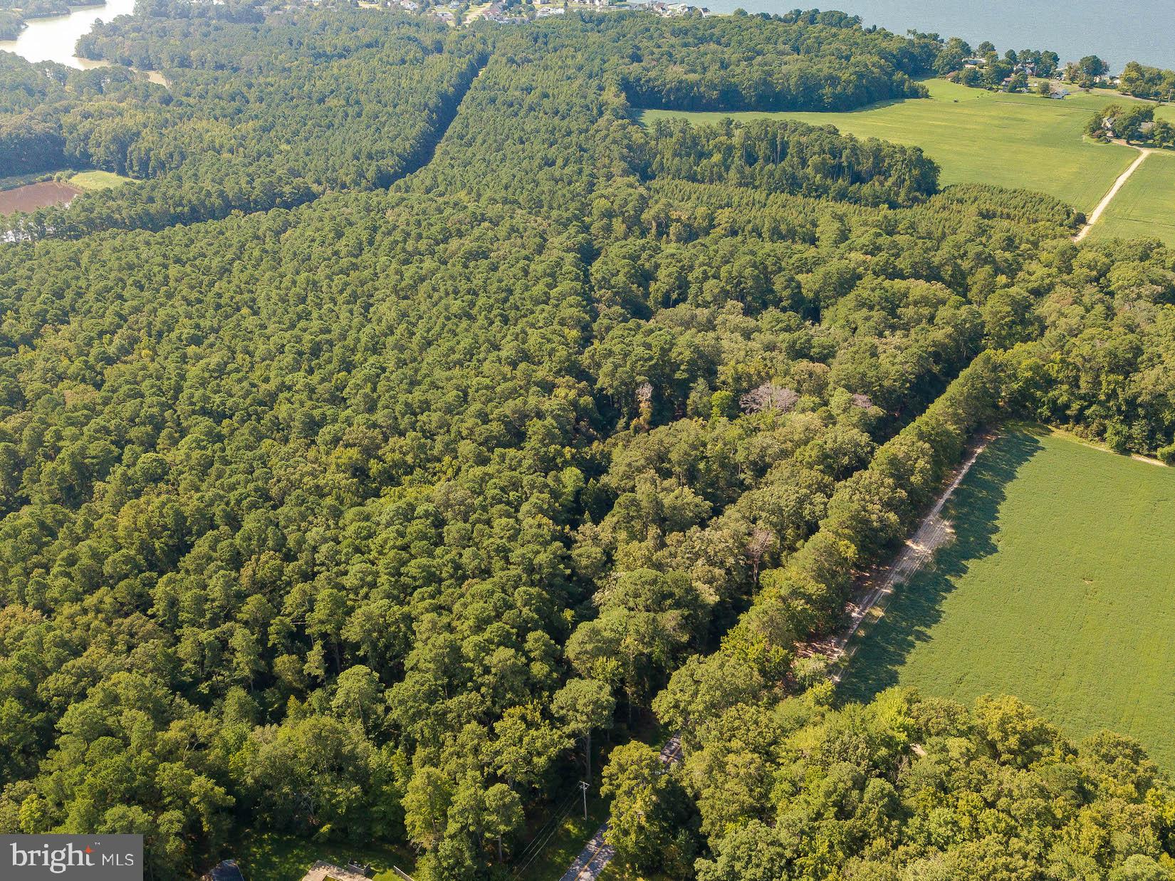 Tall Timbers Road Tall Timbers, MD 20690 - Photo 5 of 19