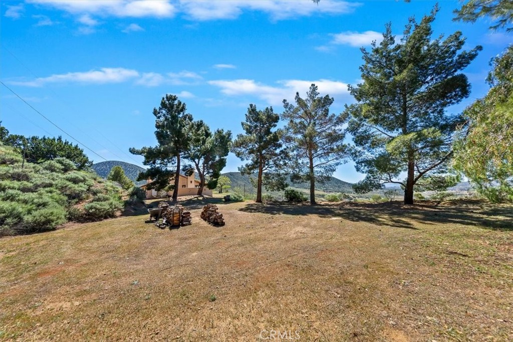 9060 Yucca Hills Road Agua Dulce, CA 91390 - Photo 6 of 44