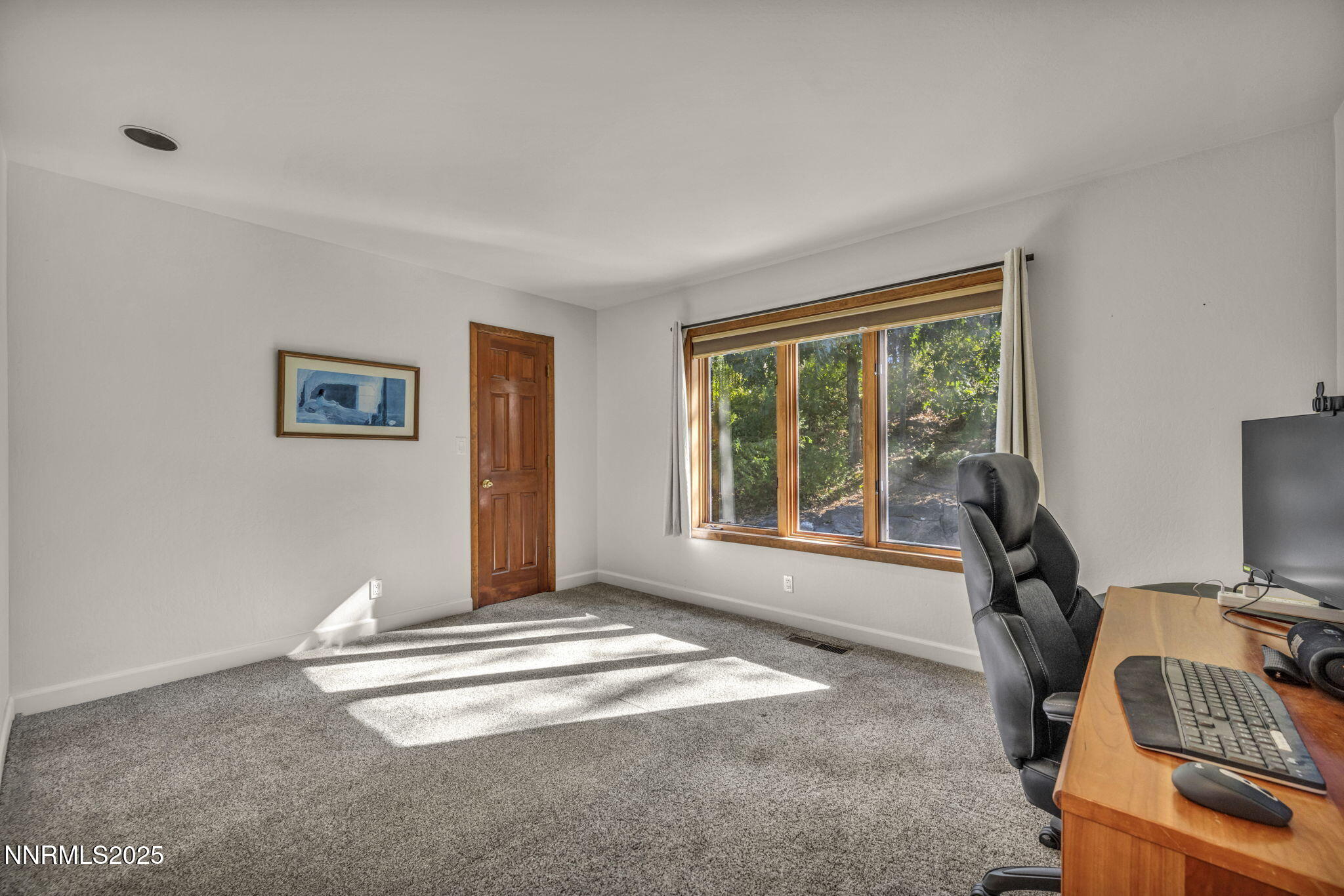 4283 Water Hole Road Reno, NV 89519 - Photo 32 of 62 80-web-or-mls-4283-water-hole-rd