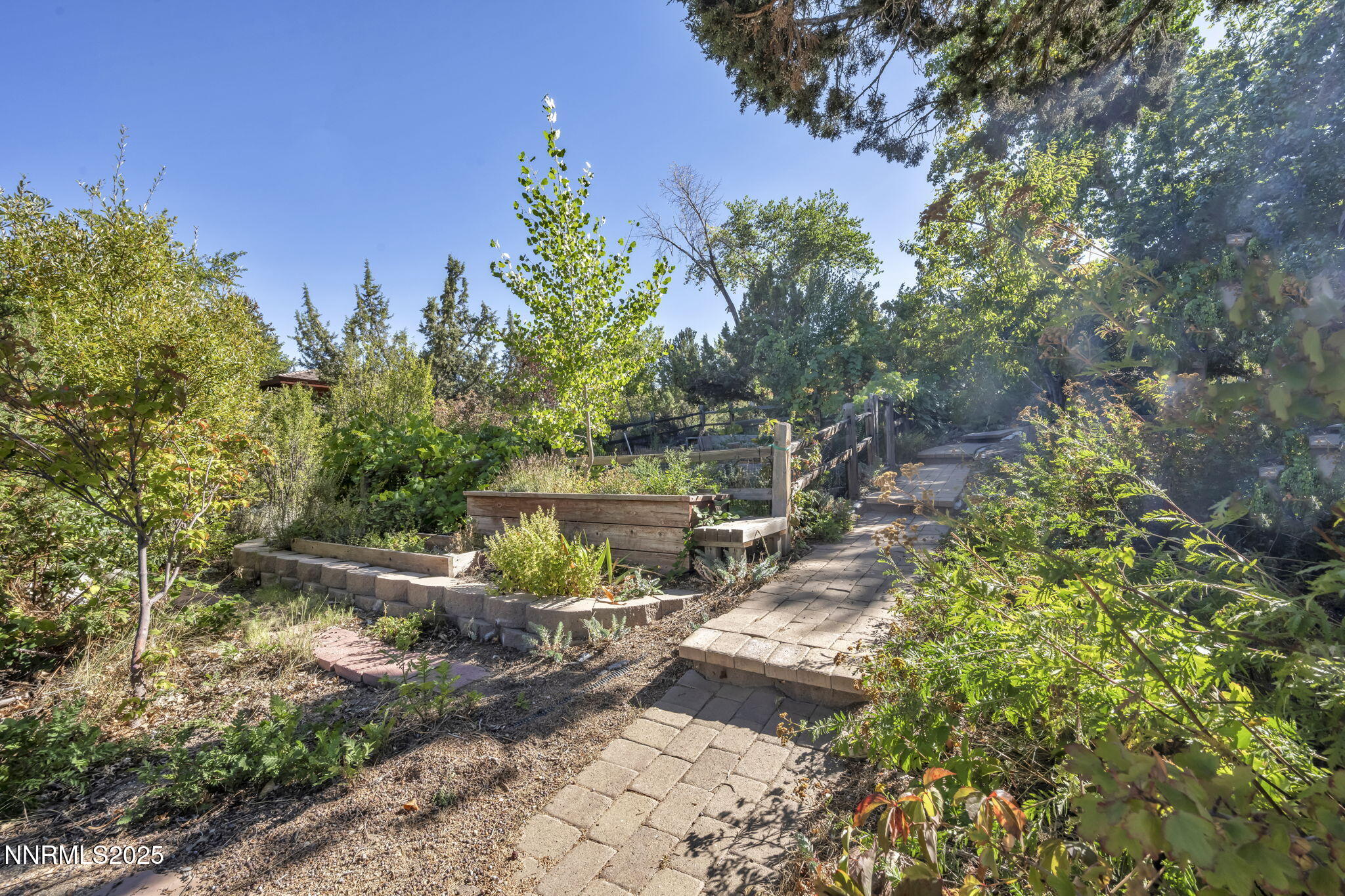 4283 Water Hole Road Reno, NV 89519 - Photo 55 of 62 a view of yard with green space