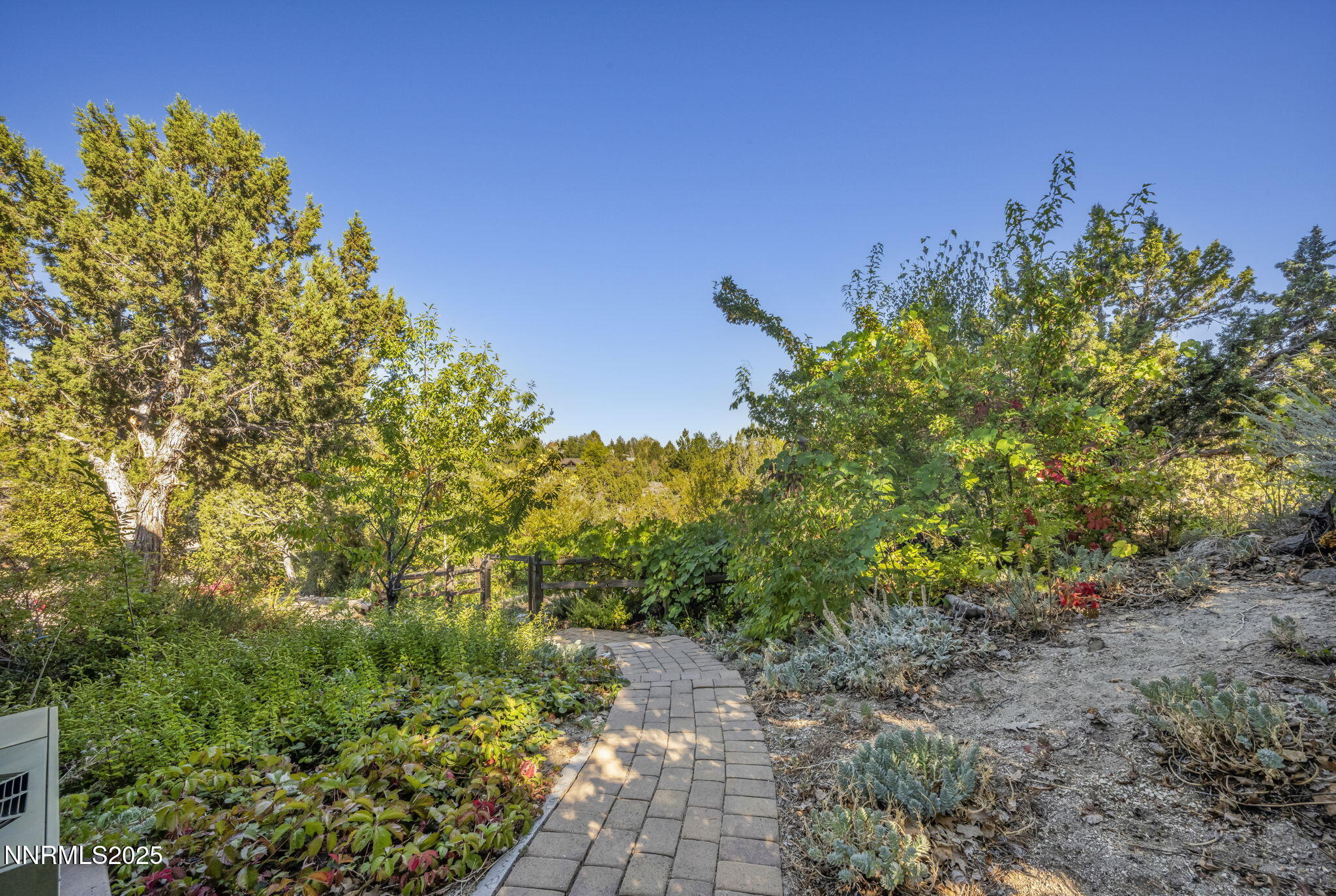 4283 Water Hole Road Reno, NV 89519 - Photo 56 of 62 a view of a large yard with lots of green space