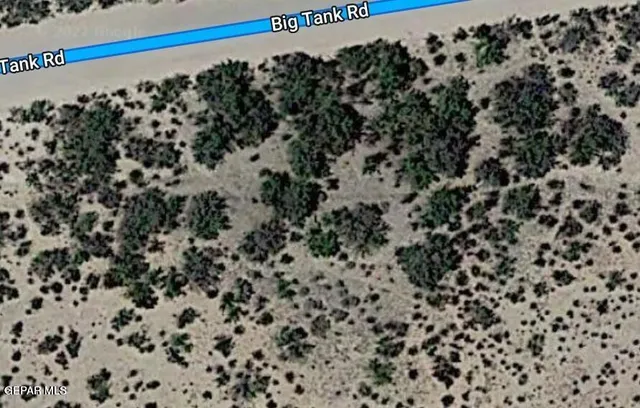 a view of a book shelf