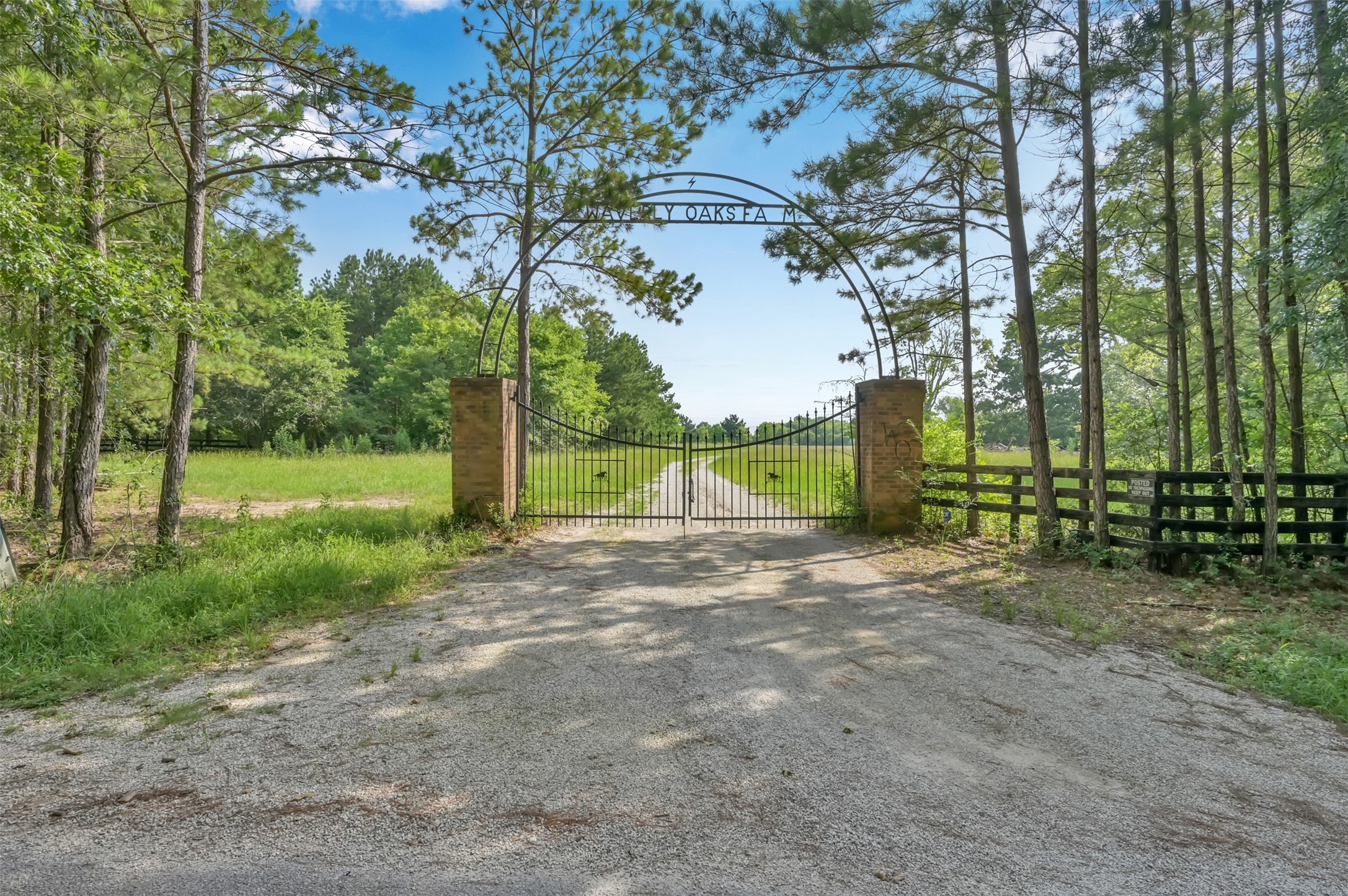880 Tafelski Road New Waverly, TX 77358 - Photo 11 of 29 a view of outdoor space with city view