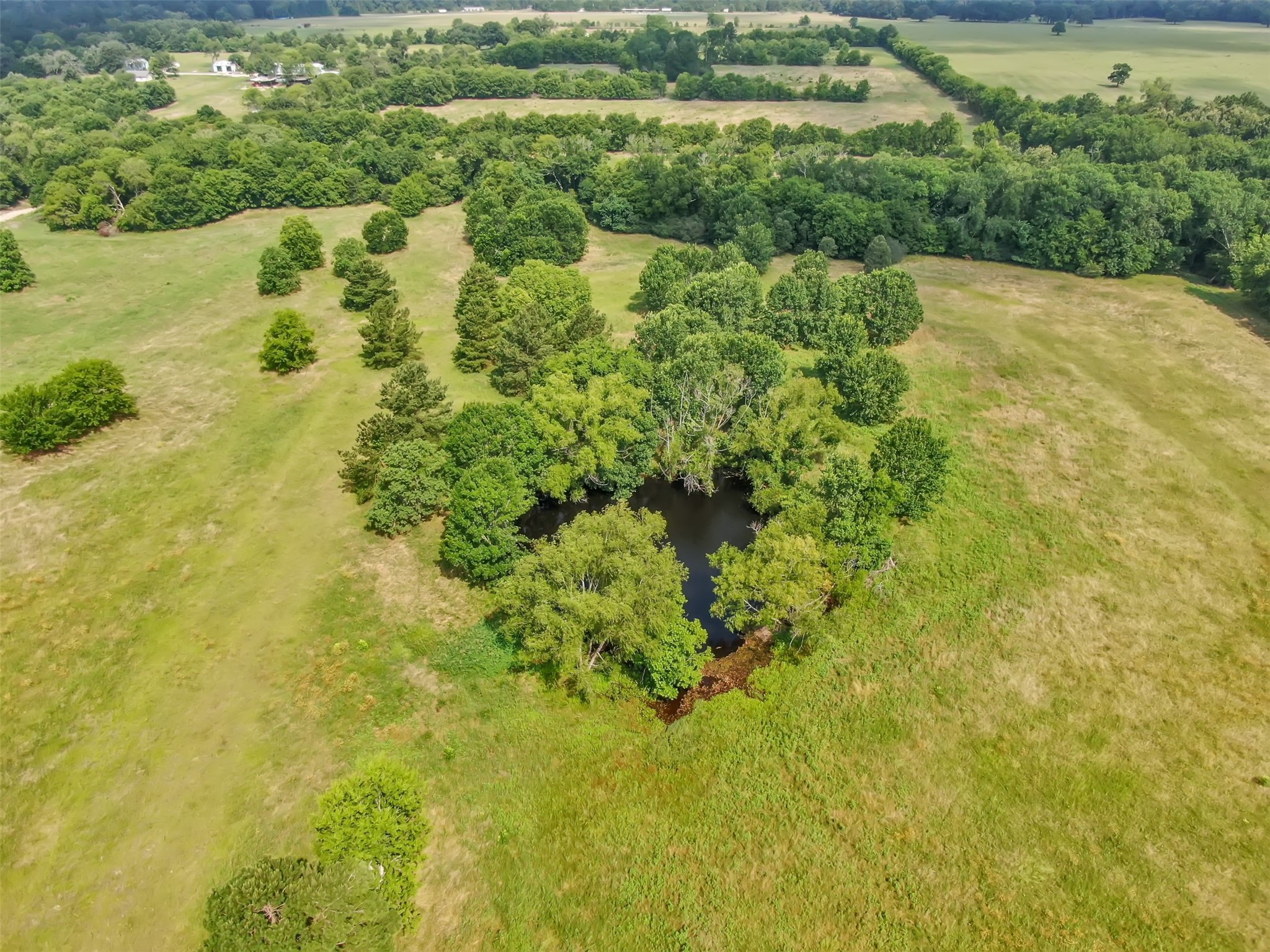 880 Tafelski Road New Waverly, TX 77358 - Photo 18 of 29 a view of a lake with a house