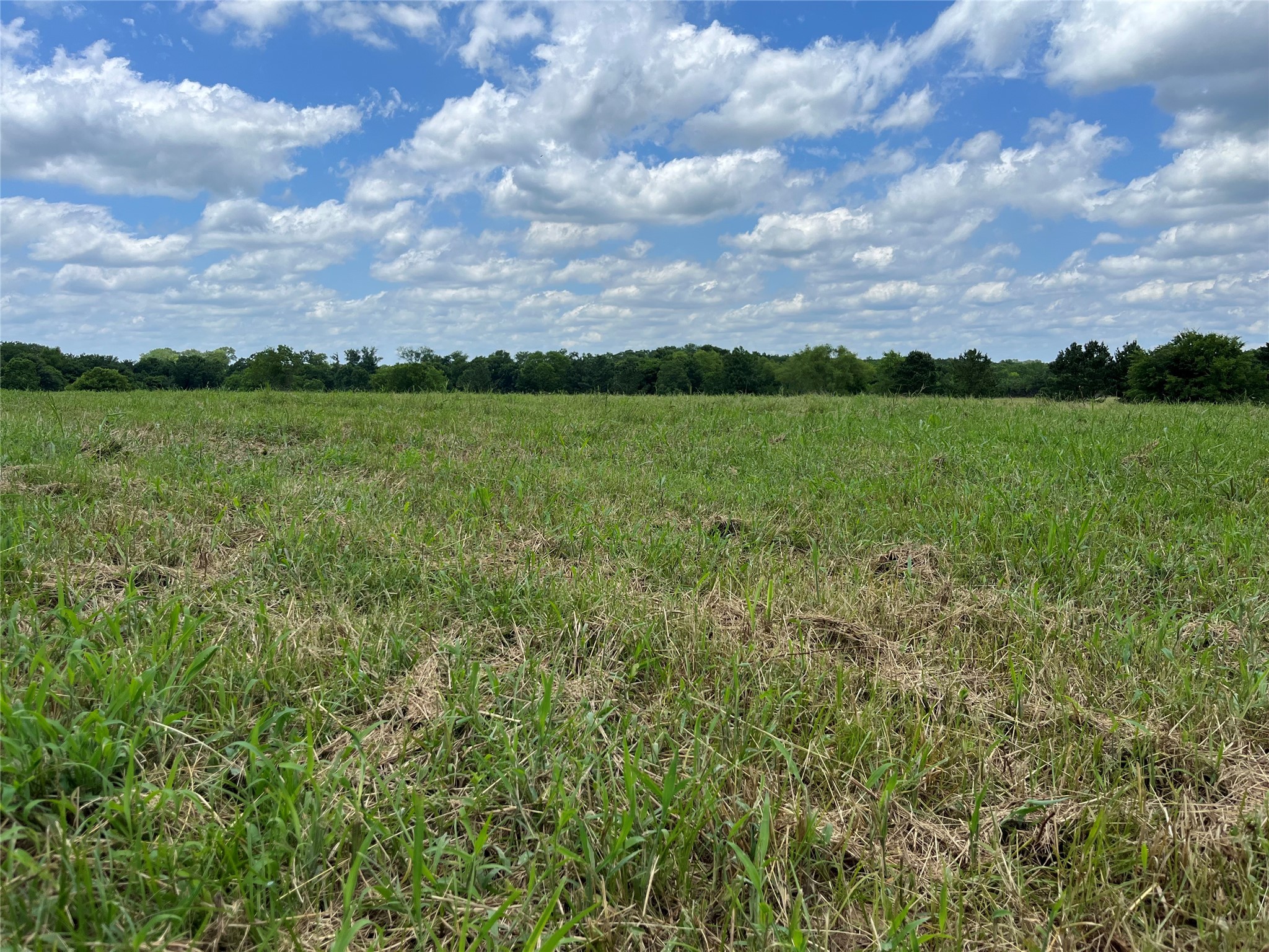 880 Tafelski Road New Waverly, TX 77358 - Photo 6 of 29 a view of an outdoor space and a yard