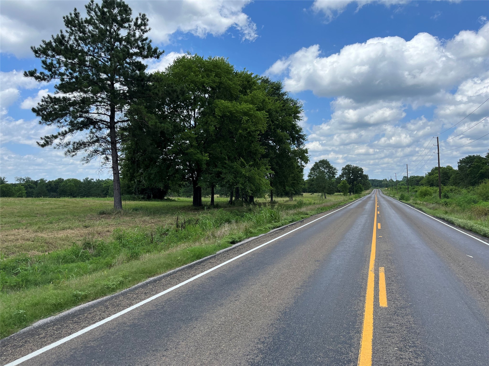 880 Tafelski Road New Waverly, TX 77358 - Photo 8 of 29 a view of a street with a yard and large trees