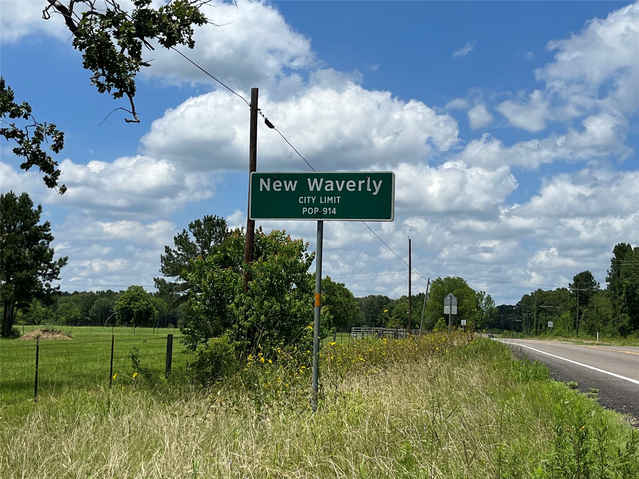 880 Tafelski Road New Waverly, TX 77358 - Photo 9 of 29 a view of a garden