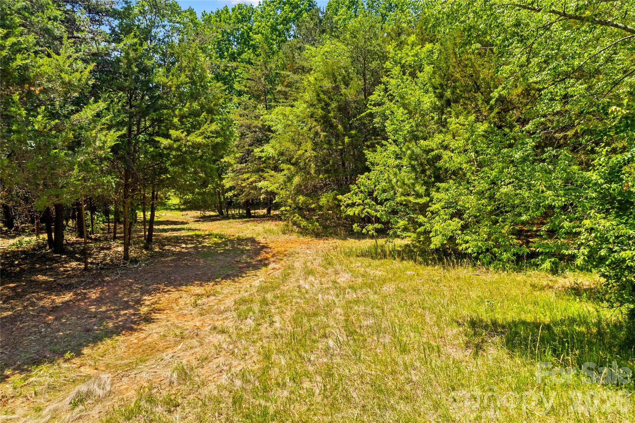 190 Sheffield Road Harmony, NC 28634 - Photo 4 of 13 a view of yard with trees