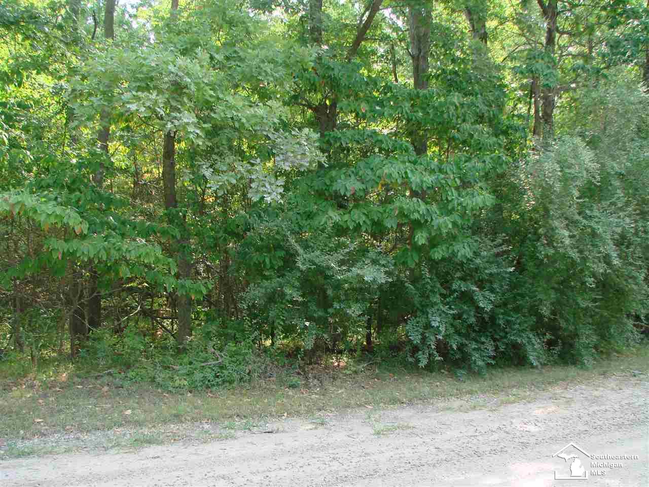 0 Wells Road Petersburg, MI 49270 - Photo 3 of 5