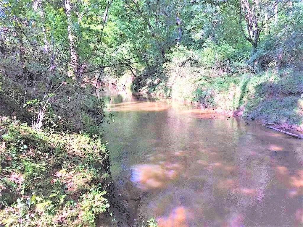 539 Landfill Road Baskerville, VA 23915 - Photo 32 of 38 Allen Creek