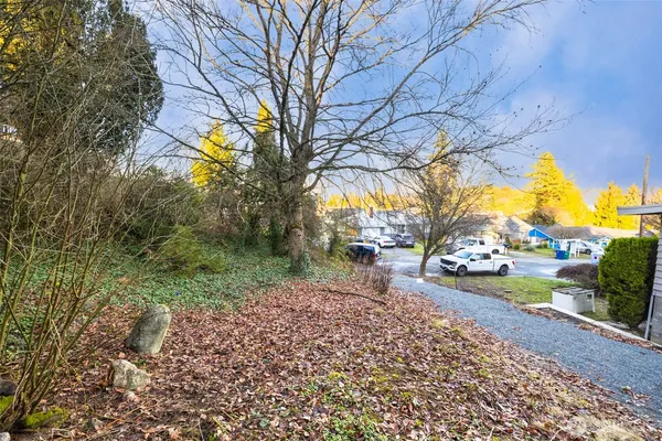 a view of a yard with of trees