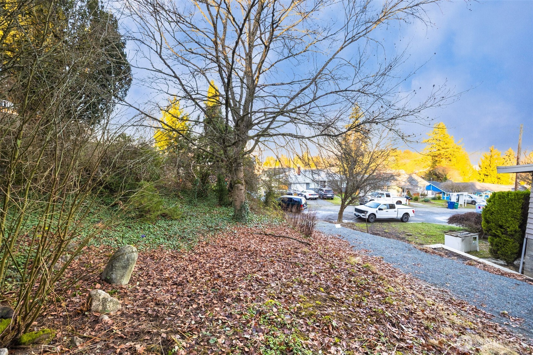8519 South 123rd Place Seattle, WA 98178 - Photo 3 of 18 a view of a yard with of trees
