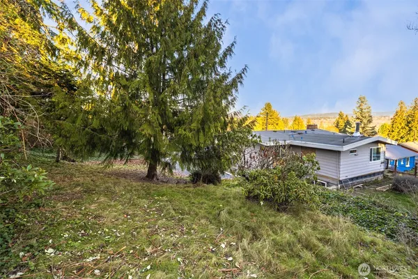 a backyard of a house with lots of green space
