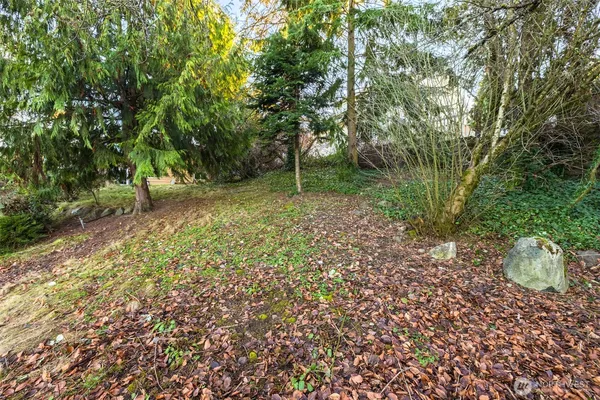 a view of a yard with plants and trees