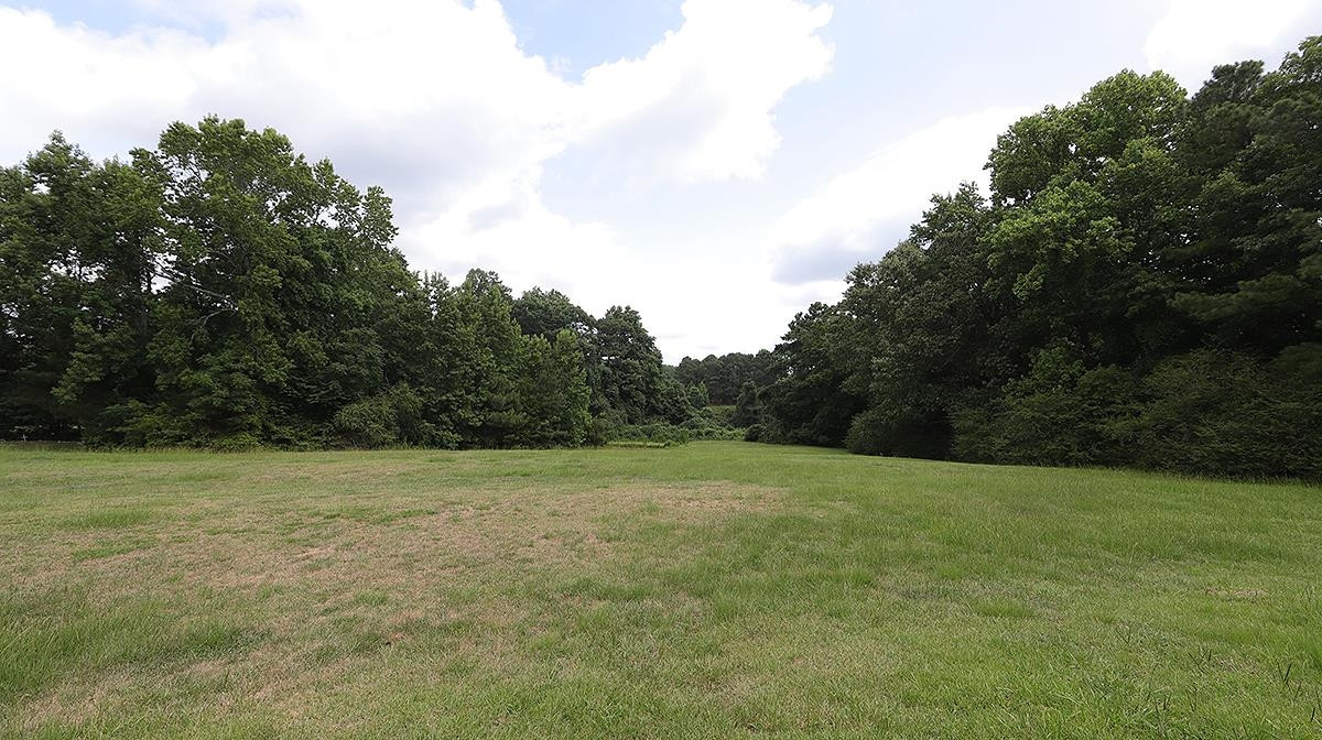 1390 Sanders Road Benson, NC 27504 - Photo 18 of 22 Pasture