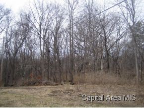 7 Timberline Drive Springfield, IL 62711 - Photo 3 of 12