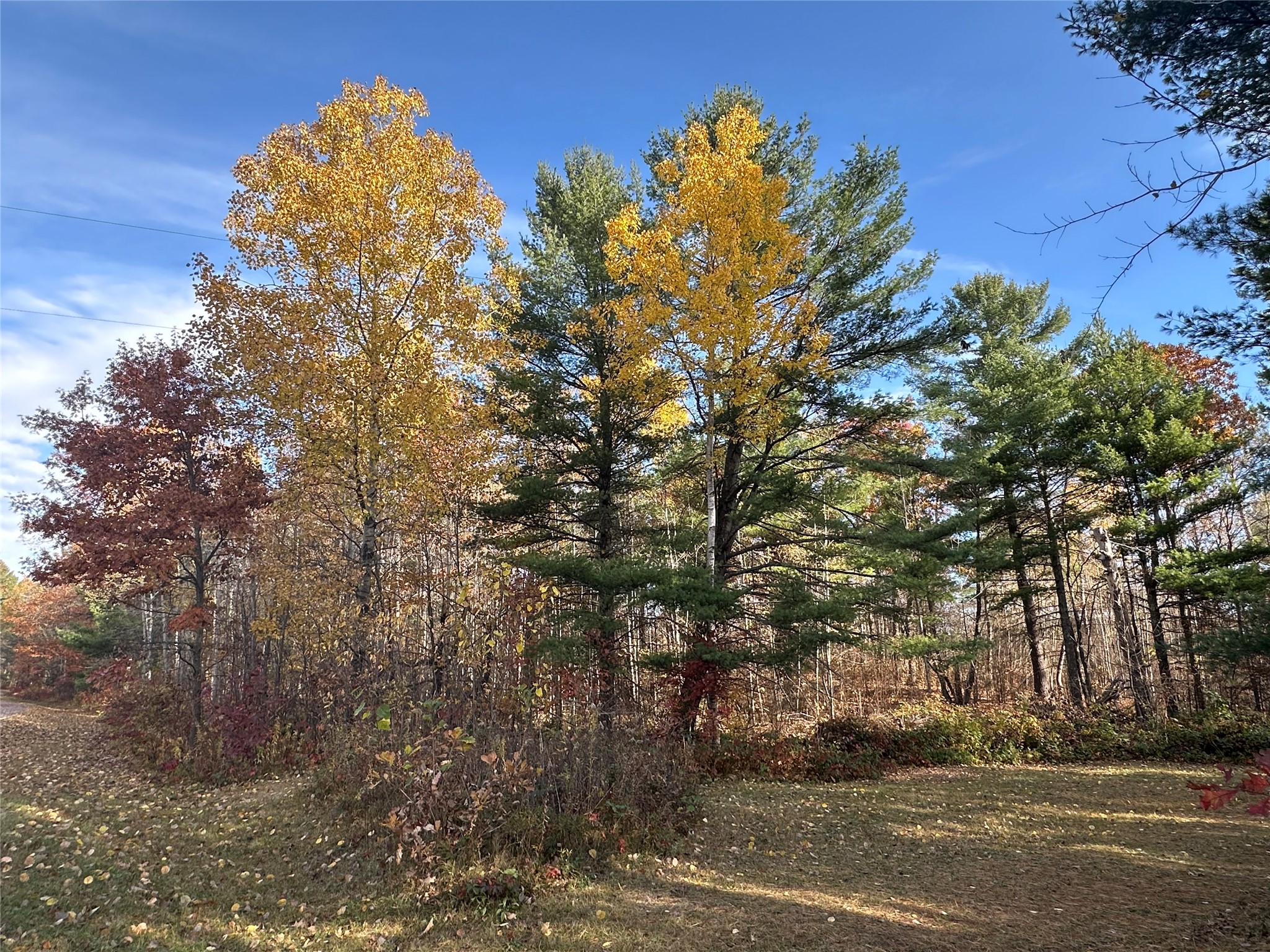Xx Shore Drive Springbrook, WI 54875 - Photo 1 of 12