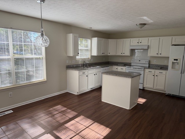 2004 Upland Drive Franklin, TN 37067 - Photo 2 of 11 a kitchen with stainless steel appliances granite countertop a stove a sink dishwasher a refrigerator and white cabinets with wooden floor