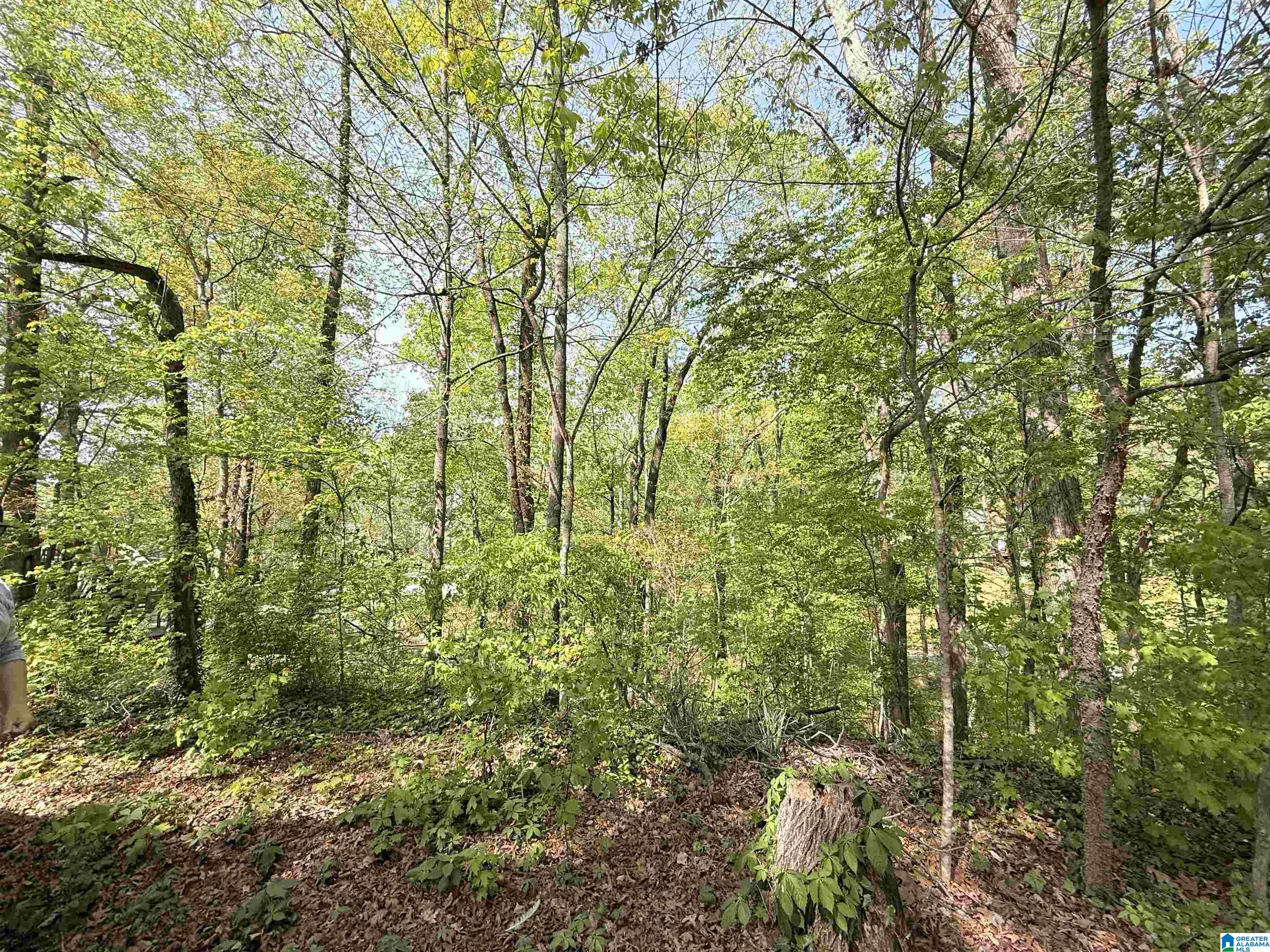 4 Dogwood Road, Unit 4 Lexington, AL 35648 - Photo 1 of 9