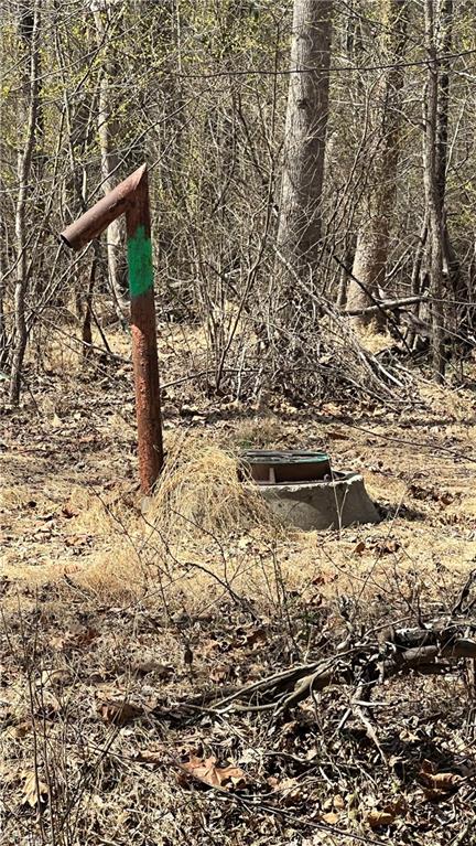 2630 Minden Road Pleasant Garden, NC 27313 - Photo 15 of 17 Sewer line easement markers