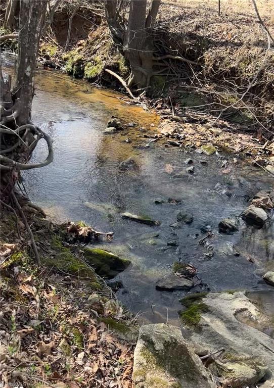 2630 Minden Road Pleasant Garden, NC 27313 - Photo 9 of 17 Beautiful Flowing Creek