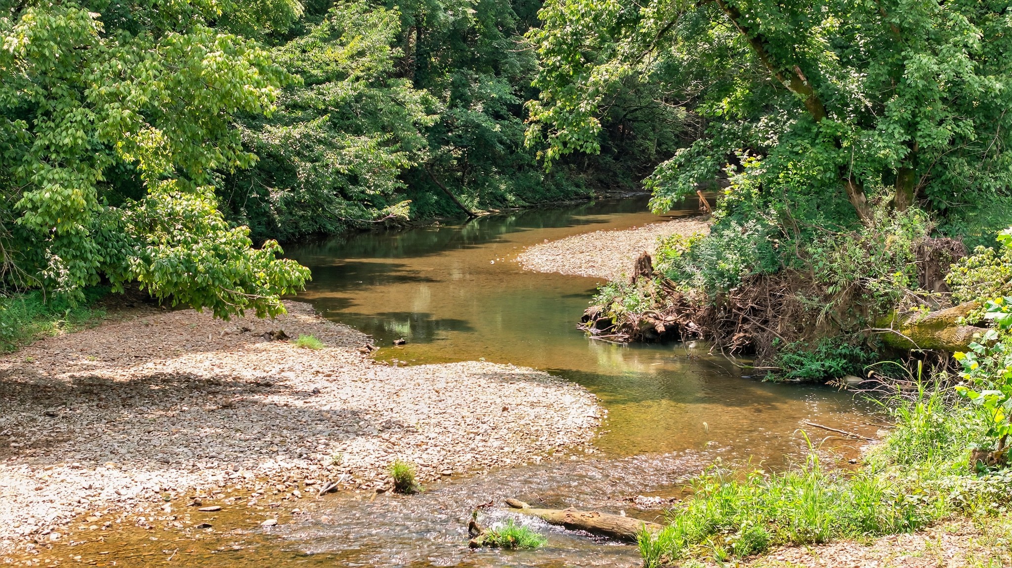2236 New Hope Road Hendersonville, TN 37075 - Photo 36 of 80
