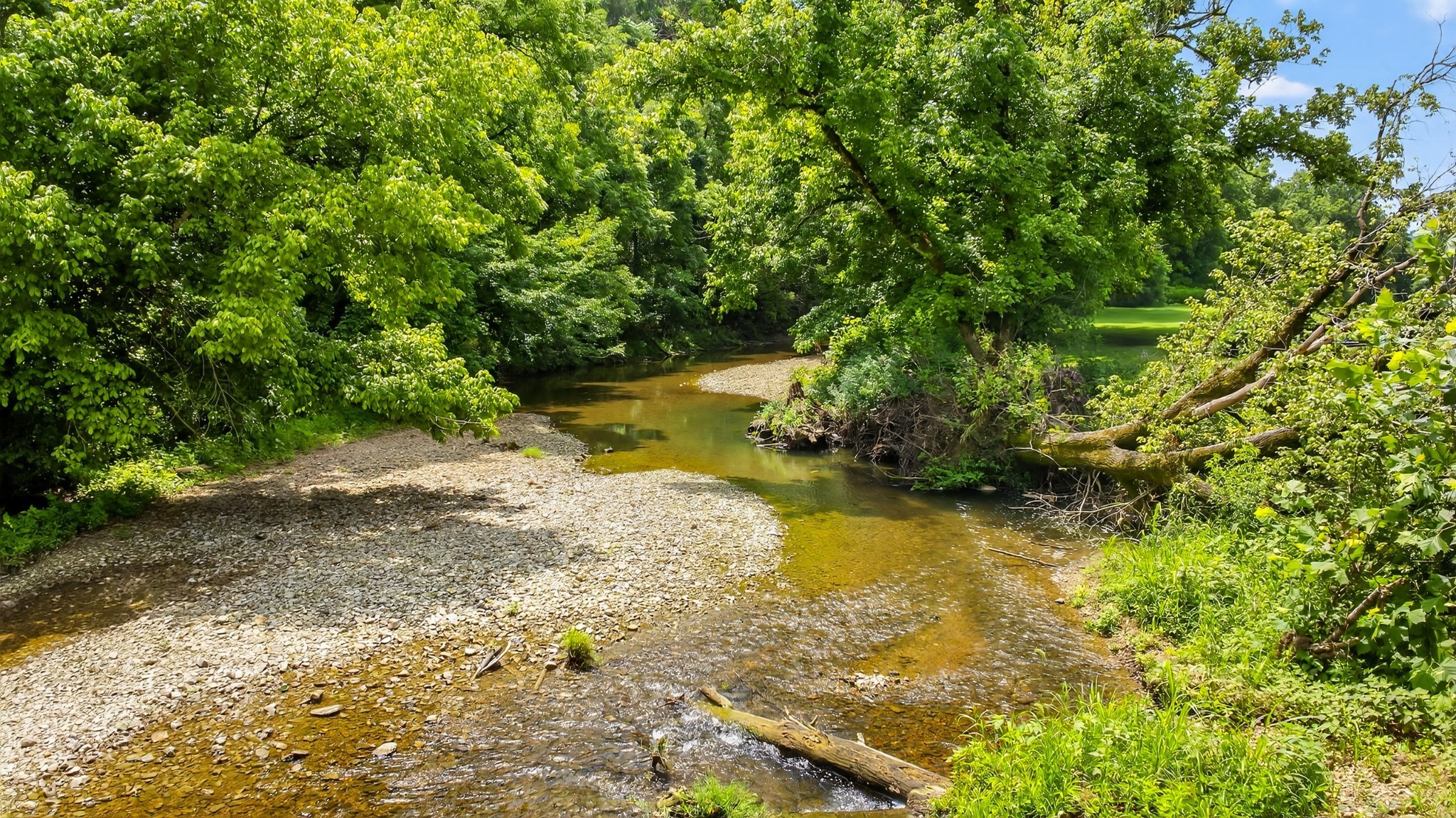 2236 New Hope Road Hendersonville, TN 37075 - Photo 38 of 80