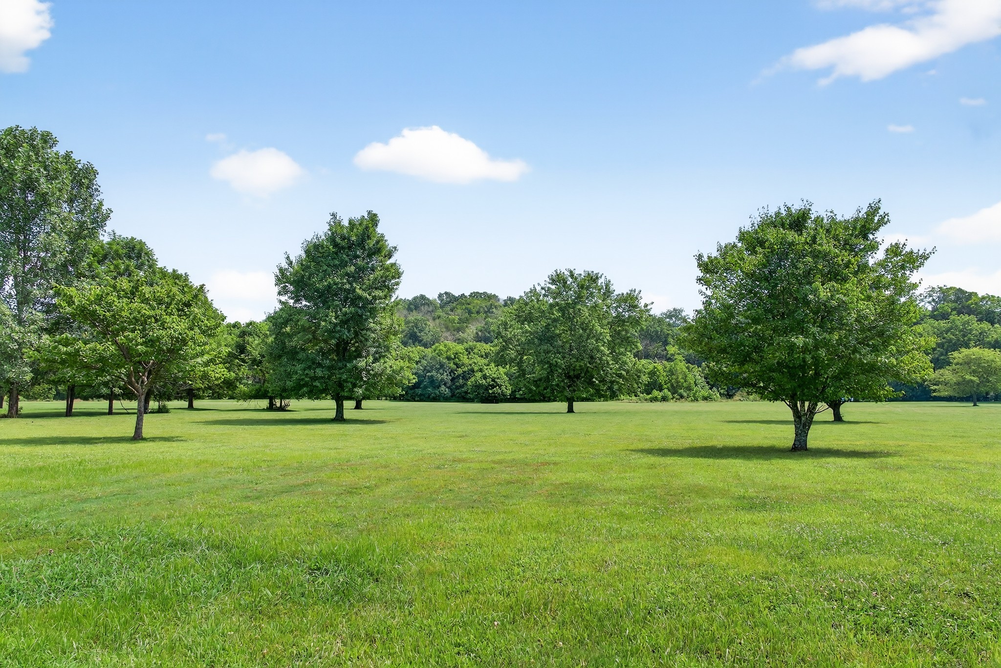 2236 New Hope Road Hendersonville, TN 37075 - Photo 9 of 80