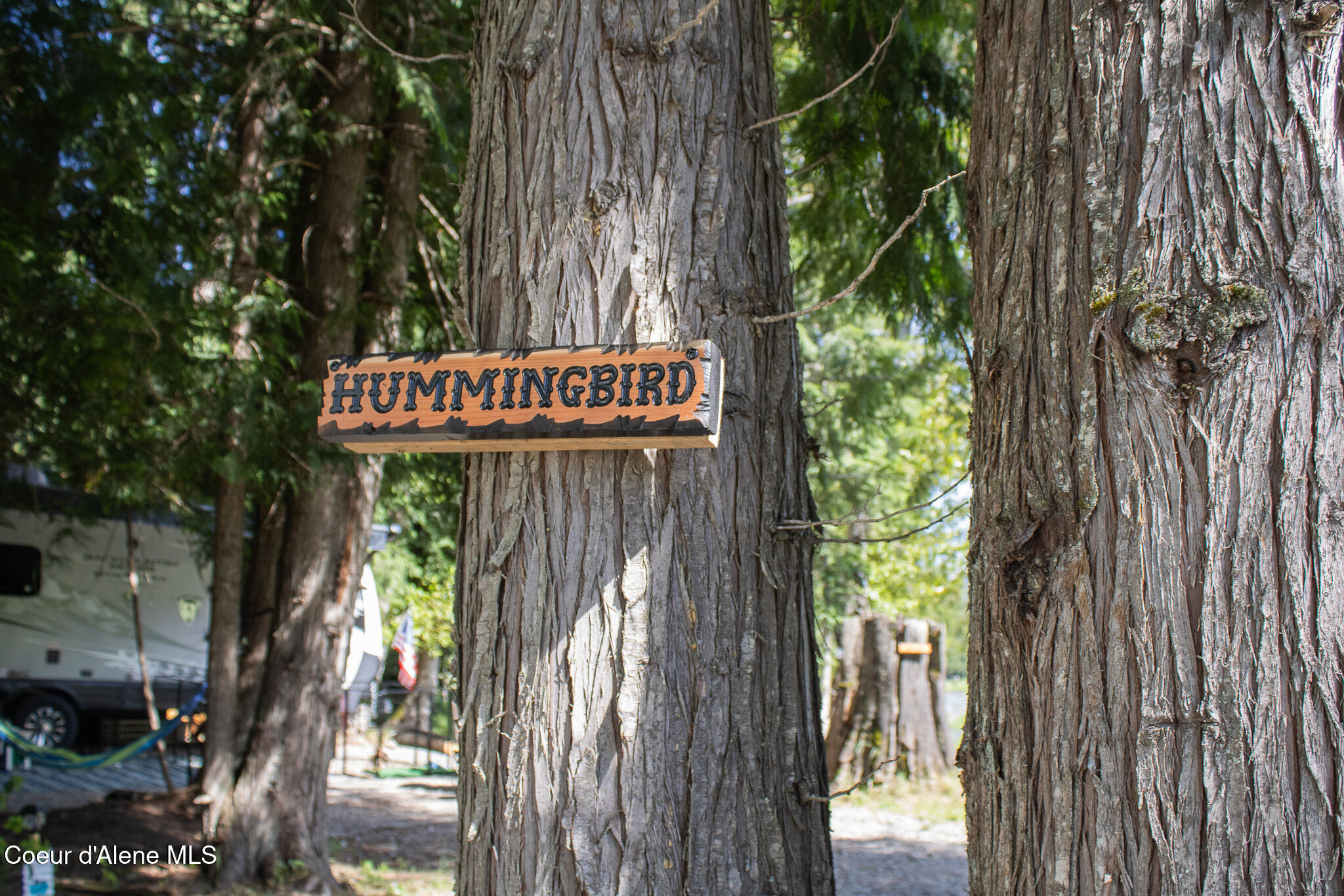 20264 Coeur D'Alene River Road Wallace, ID 83873 - Photo 53 of 59 Hummingbird sign