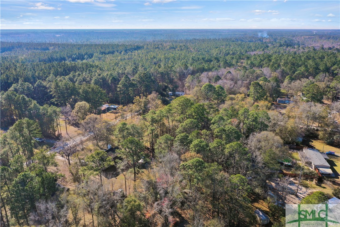 307 Wallace Circle Bloomingdale, GA 31302 - Photo 8 of 8