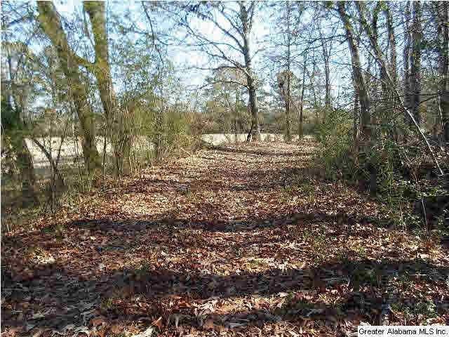 961 Airport Road, Unit 1 Eastaboga, AL 36260 - Photo 4 of 6