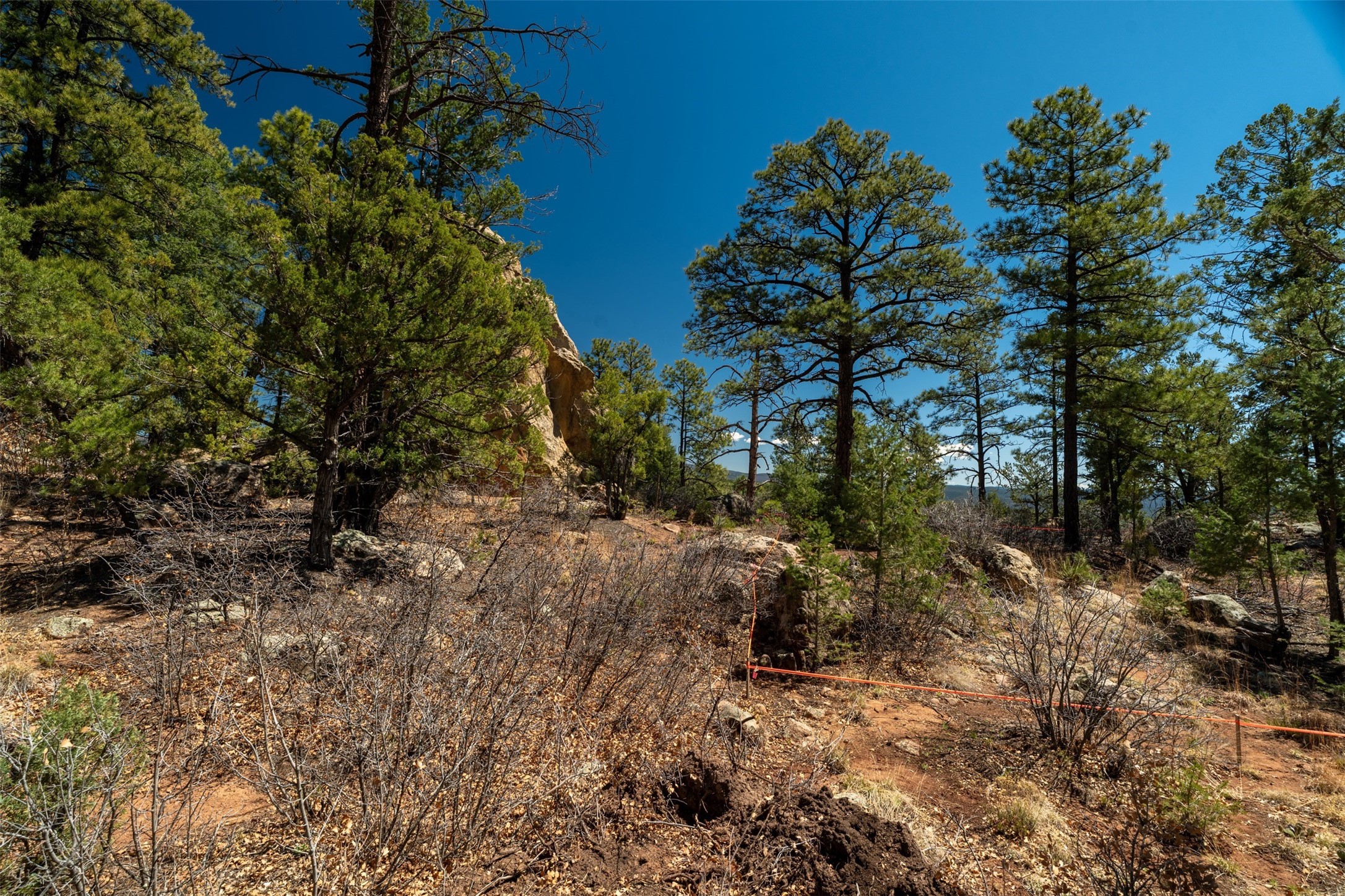 30 Monte La Cueva Road Glorieta, NM 87535 - Photo 31 of 91 more of the building site