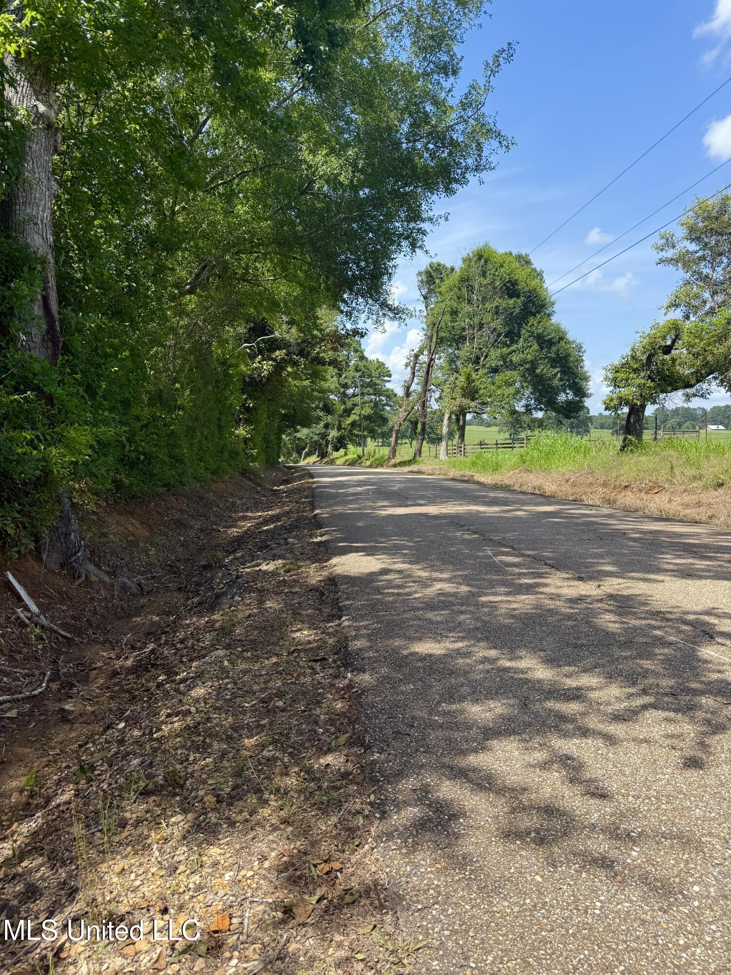 77151 North River Road Kentwood, LA 70444 - Photo 15 of 15 IMG_0287