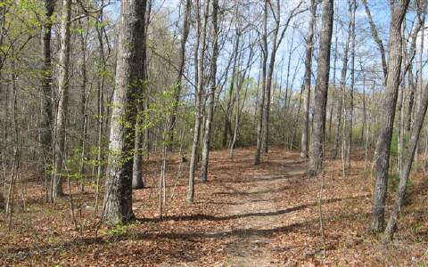 5 Garren Cove Road Morganton, GA 30560 - Photo 1 of 1 Main View