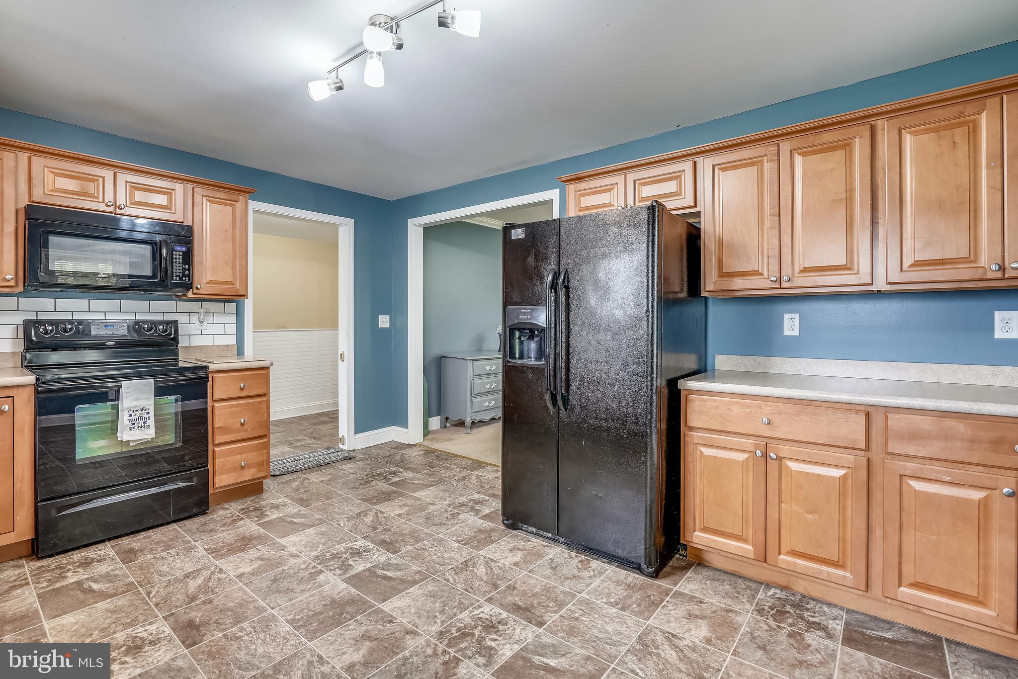 110 Sunrise Avenue Ridgely, MD 21660 - Photo 13 of 56 Large Kitchen