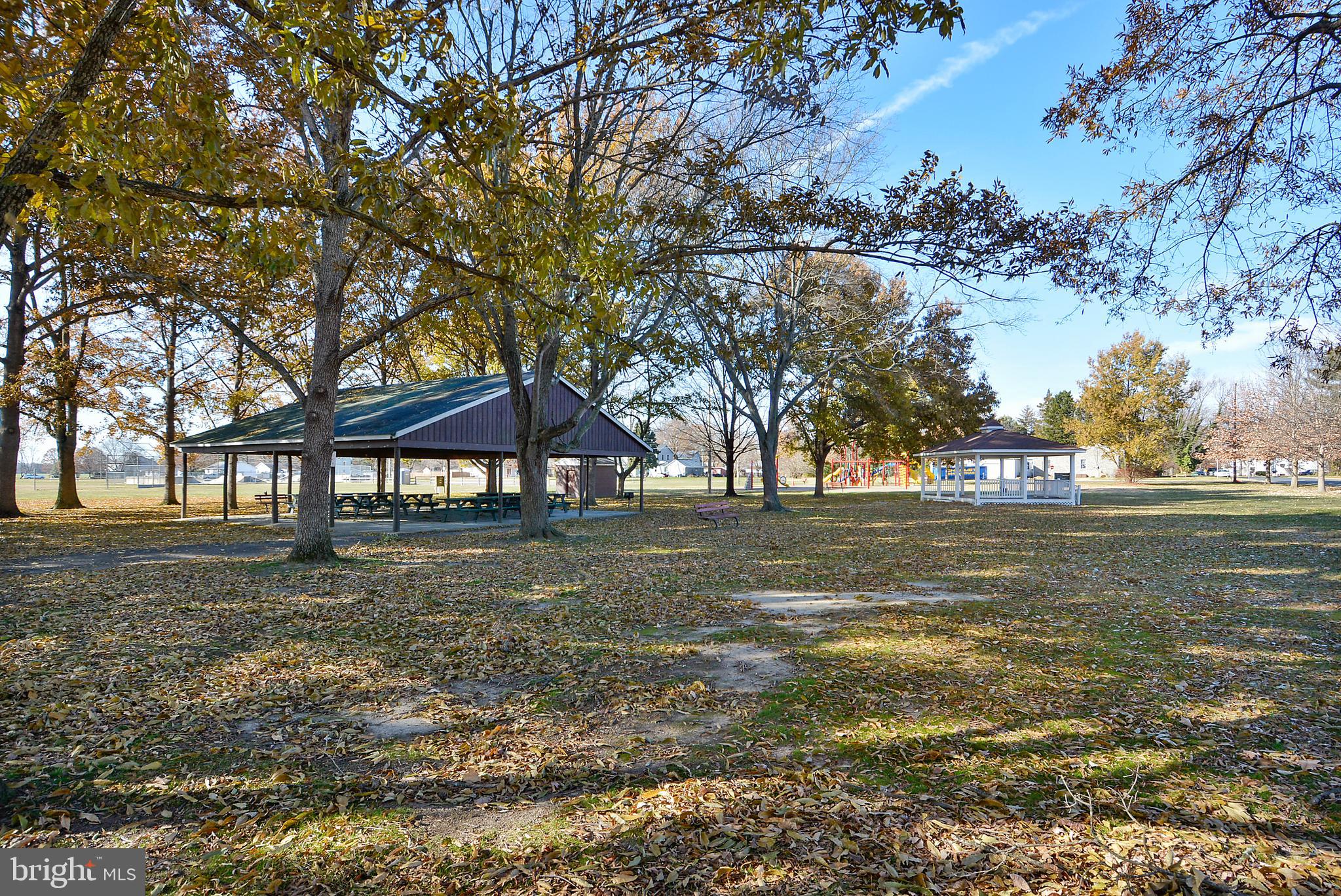 110 Sunrise Avenue Ridgely, MD 21660 - Photo 54 of 56 Local Park