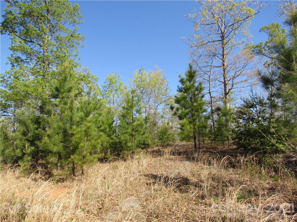 129 Silver Ridge Road, Unit 129 Rutherfordton, NC 28139 - Photo 4 of 10