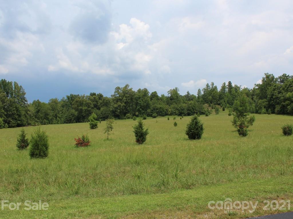 129 Silver Ridge Road, Unit 129 Rutherfordton, NC 28139 - Photo 8 of 10