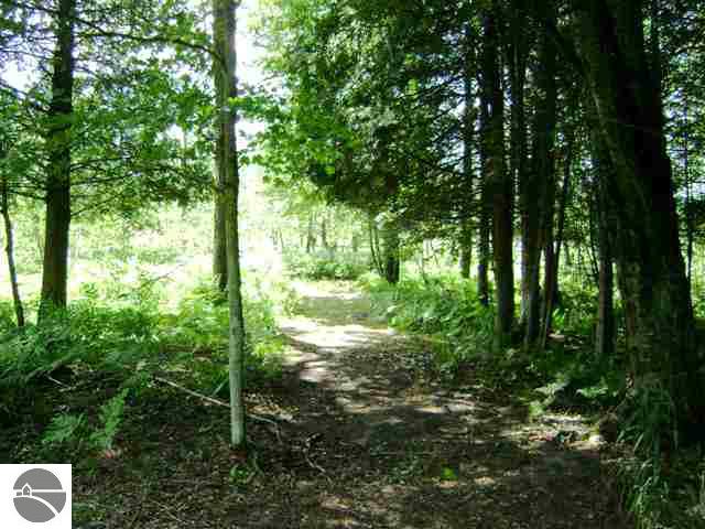 13820 Yates Road Copemish, MI 49625 - Photo 7 of 15 1705790-6.JPG