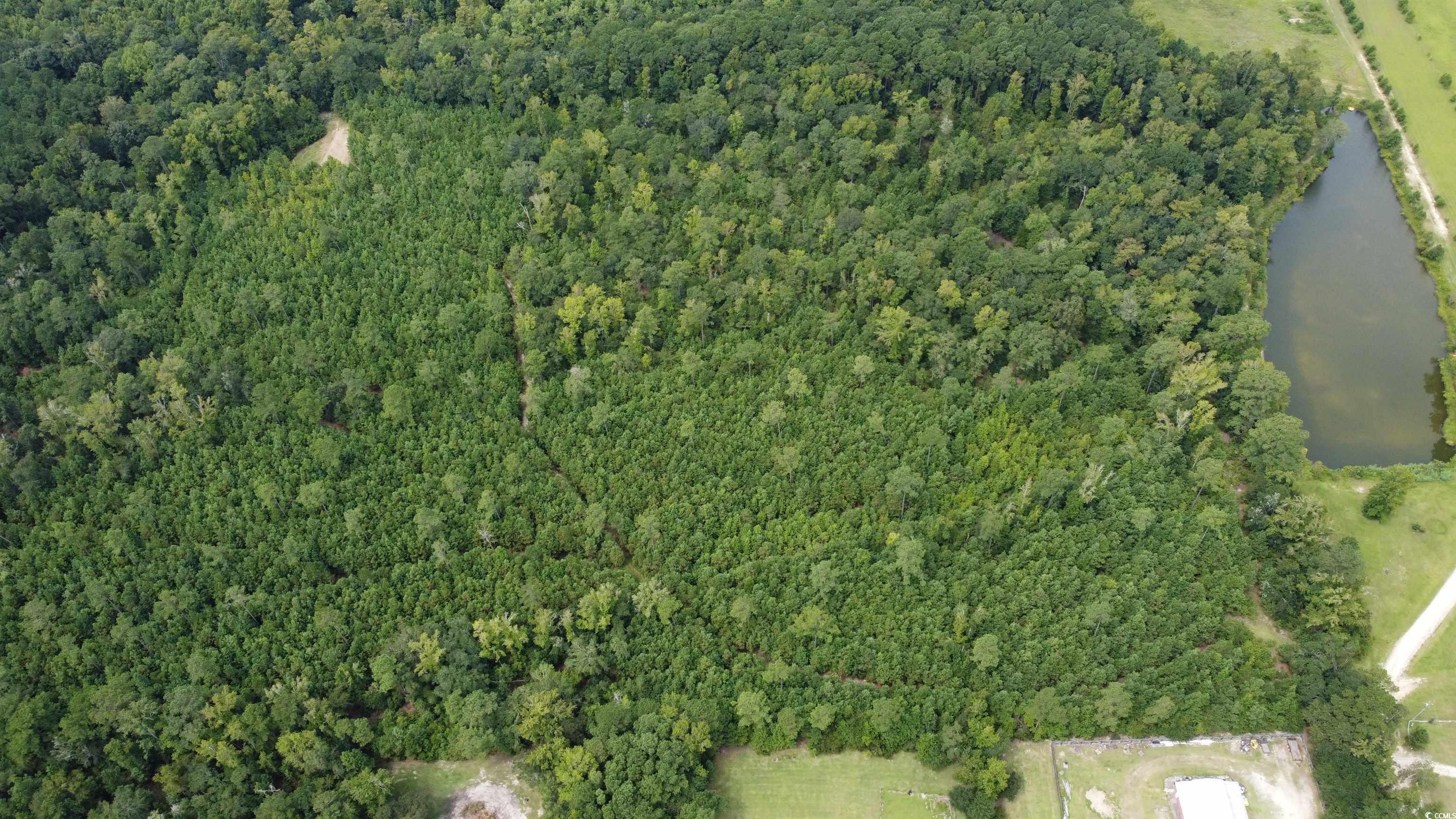 Tbd Lonzy Lane Conway, SC 29526 - Photo 1 of 10